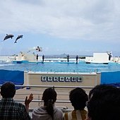 食神中的最上乘輕功