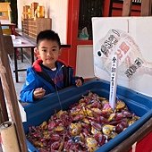 釣隻平安鯛