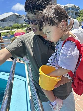 餵海龜吃青菜