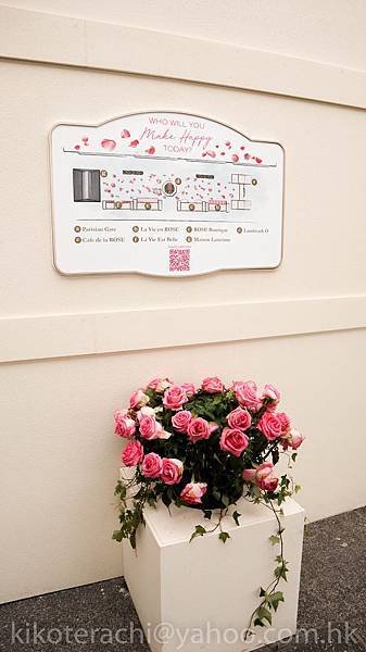 IMG_2915.jpg