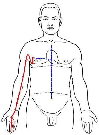 手厥陰心包經