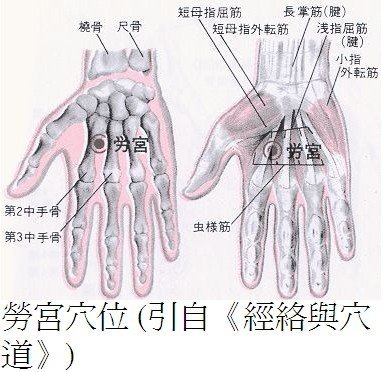 勞宮穴