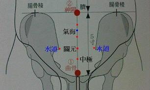 中極穴