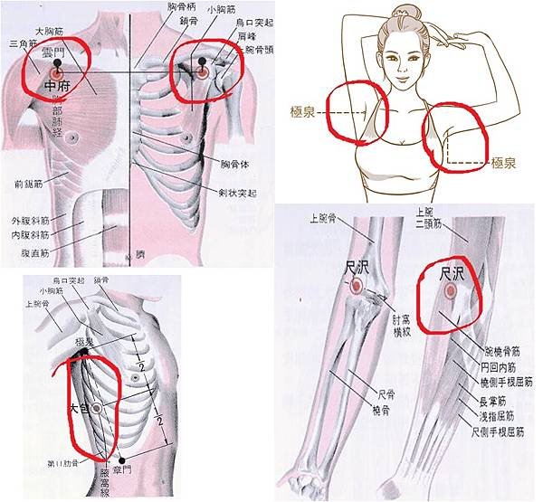 心肺功能強化.jpg