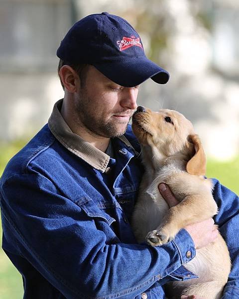 la-et-ct-budweiser-super-bowl-ad-horse-puppy-love-20140201