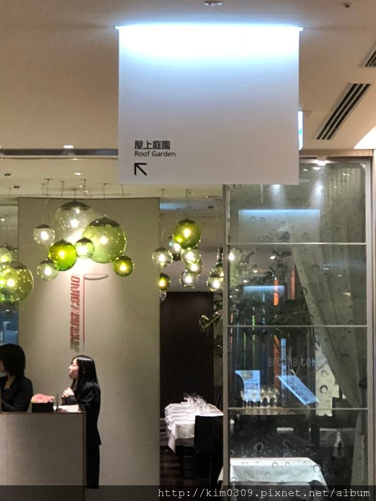 屋上庭園 (8).JPG