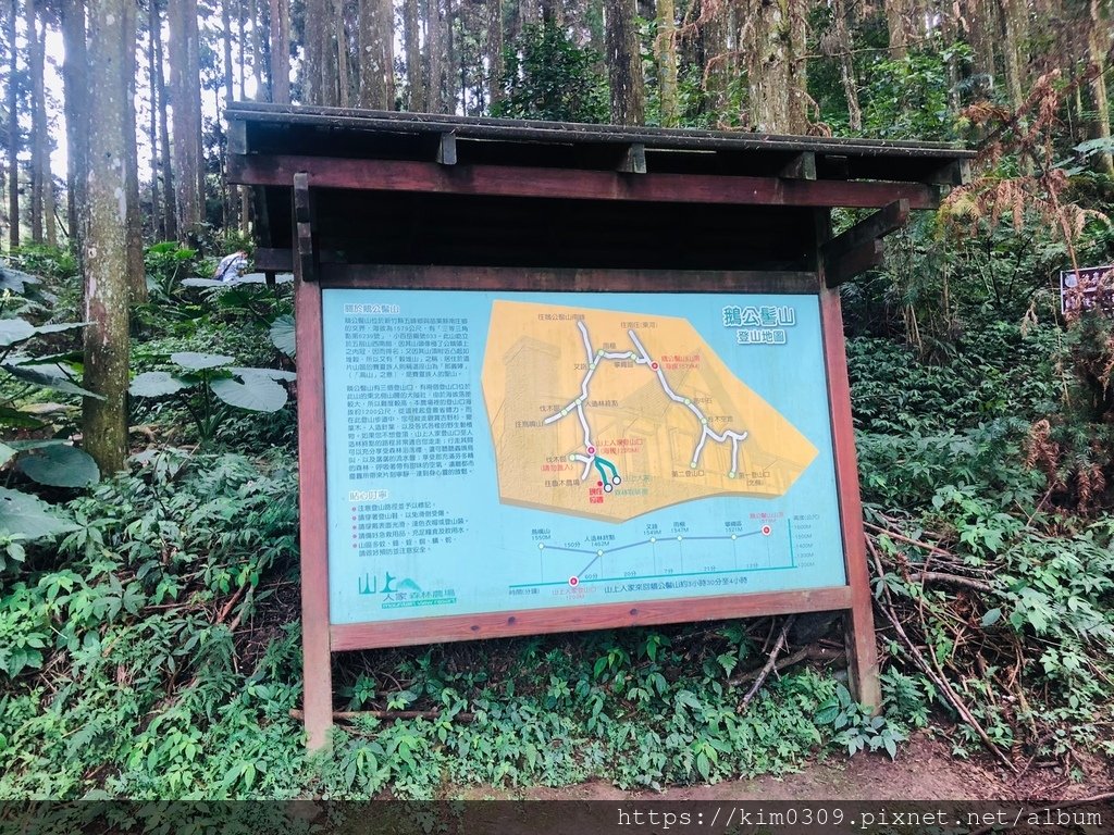 山上人家 (42).JPG