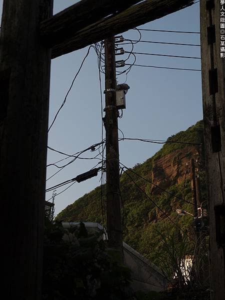 013P7024012.jpg