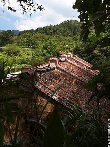 029P7316474.jpg