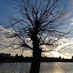 145DSC04501-lo.jpg