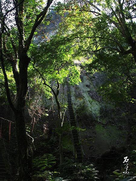 PC031242.jpg