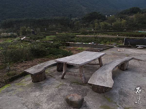 P1080653.jpg
