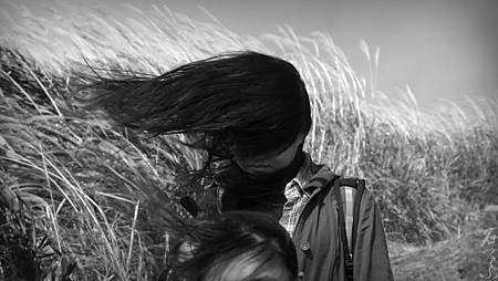 P1017175.jpg