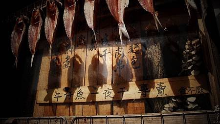 P1016527.jpg