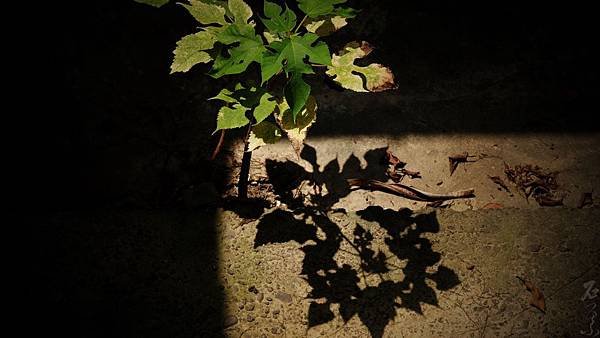 P4091257.jpg