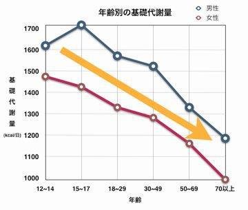 基礎代謝率
