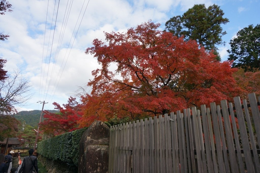 京都 - 南禪寺