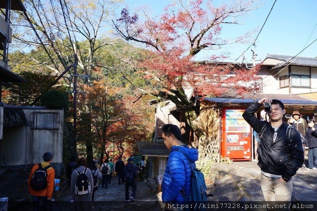 京都 - 高雄神護寺