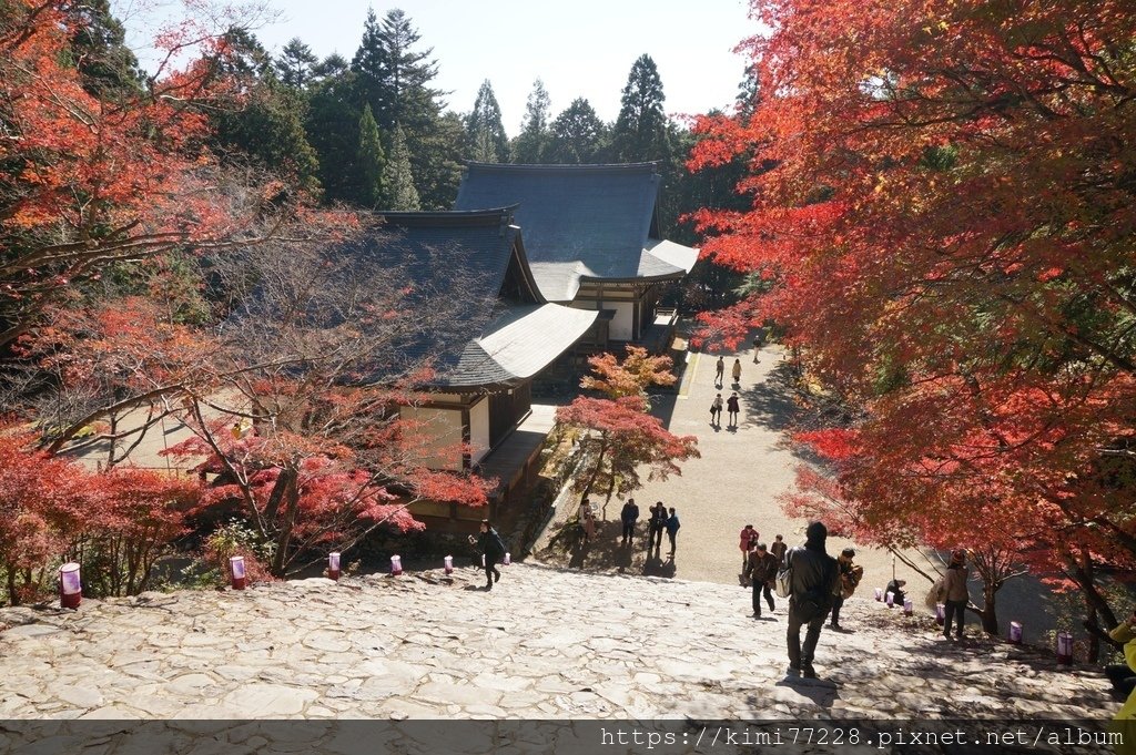 京都 - 高雄神護寺