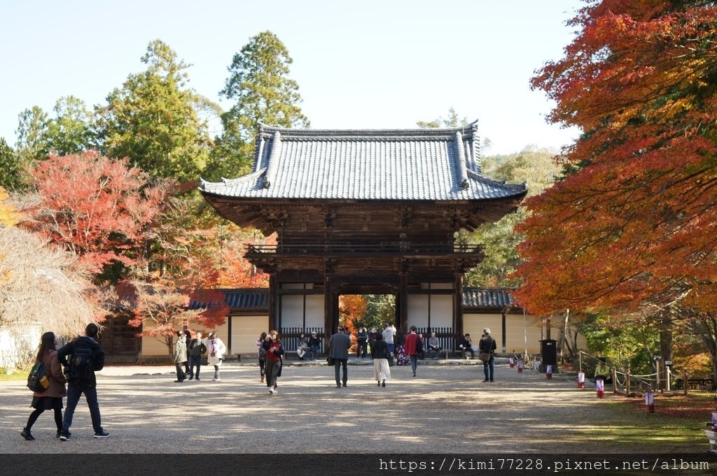 京都 - 高雄神護寺