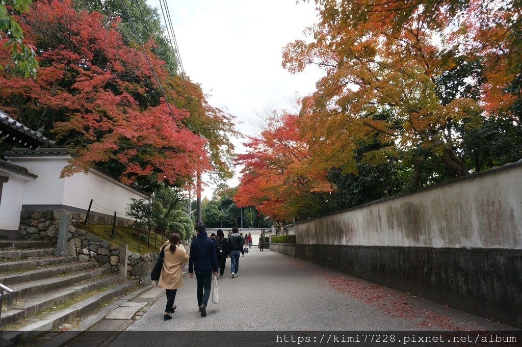 京都 - 東福寺