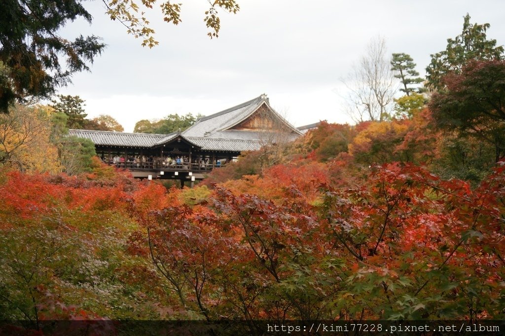 京都 - 東福寺