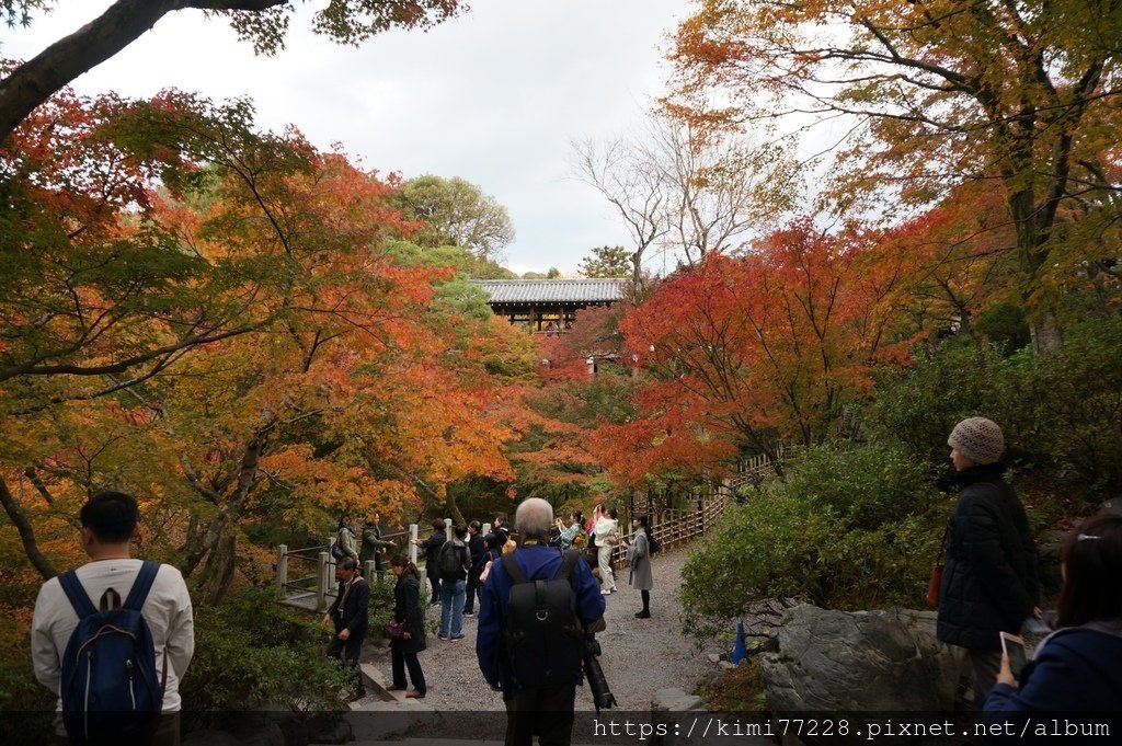 京都 - 東福寺