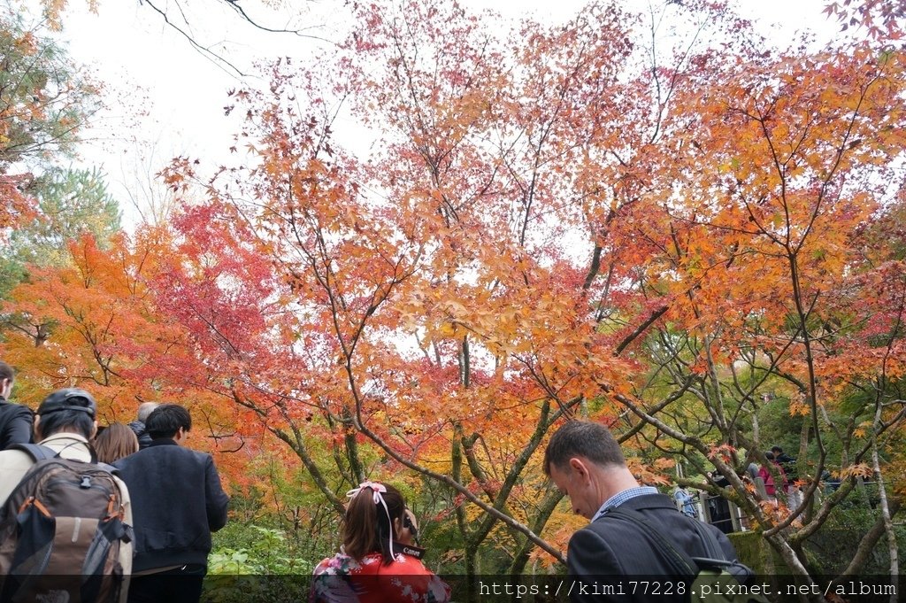 京都 - 東福寺