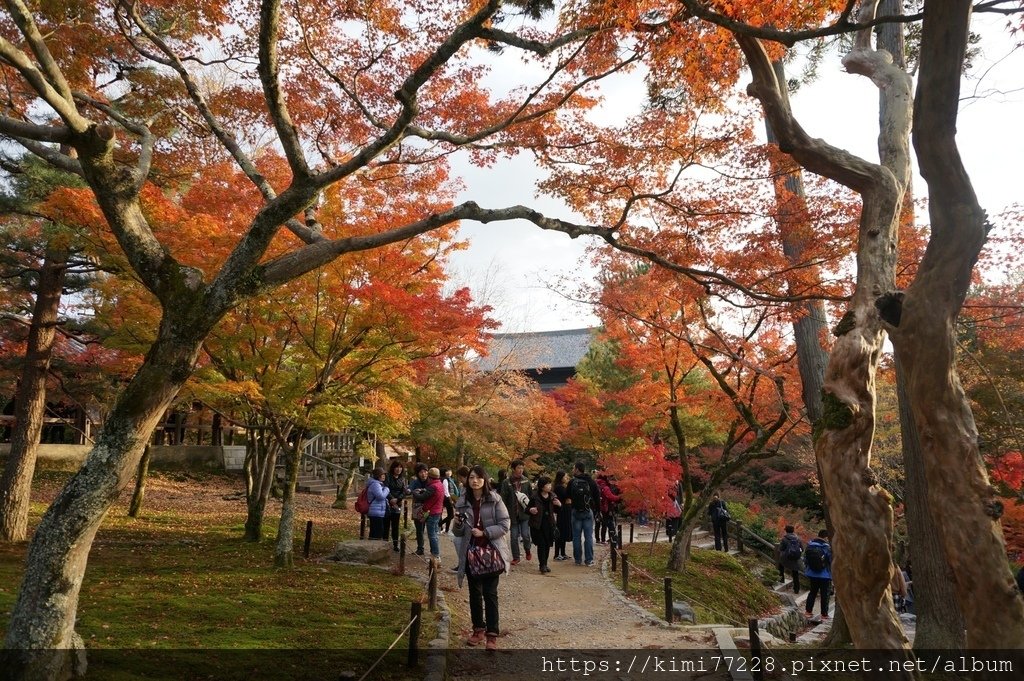 京都 - 東福寺