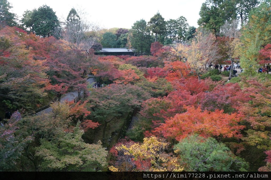 京都 - 東福寺