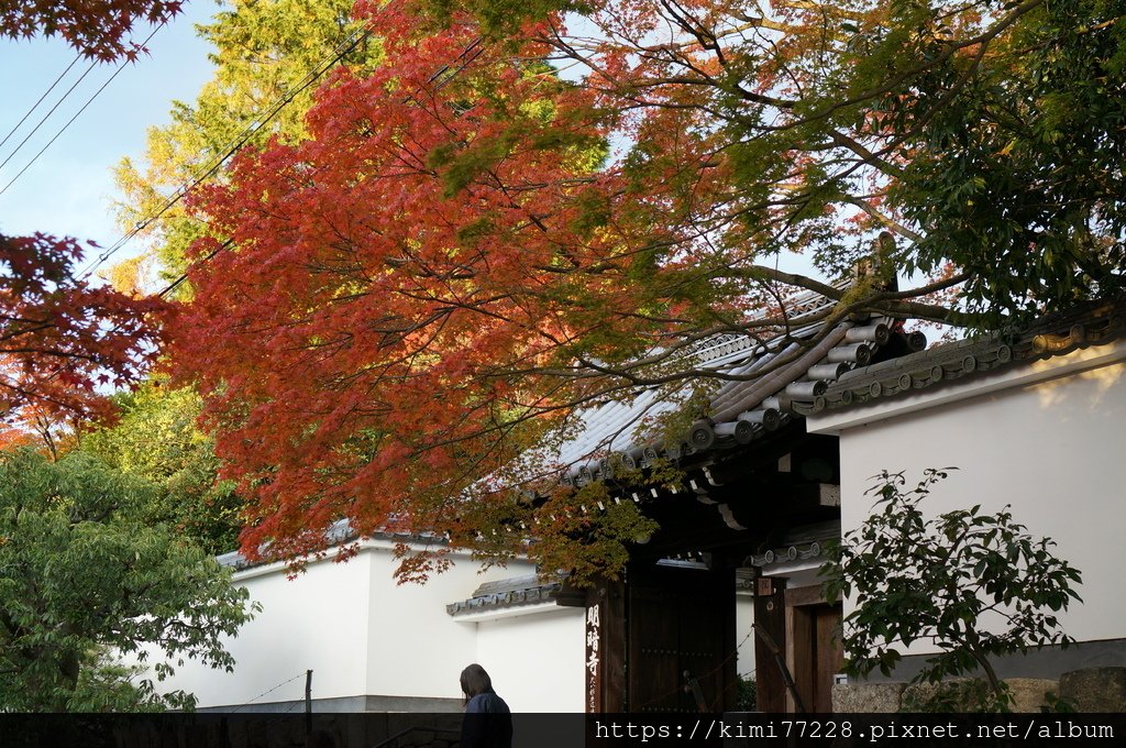 京都 - 東福寺