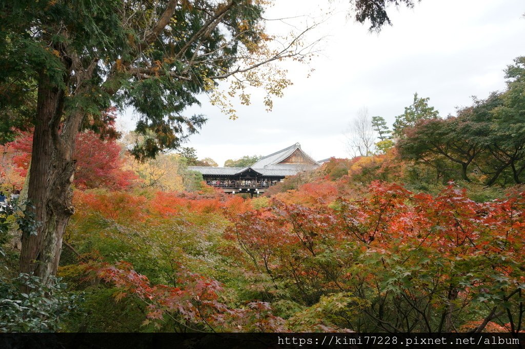 京都 - 東福寺