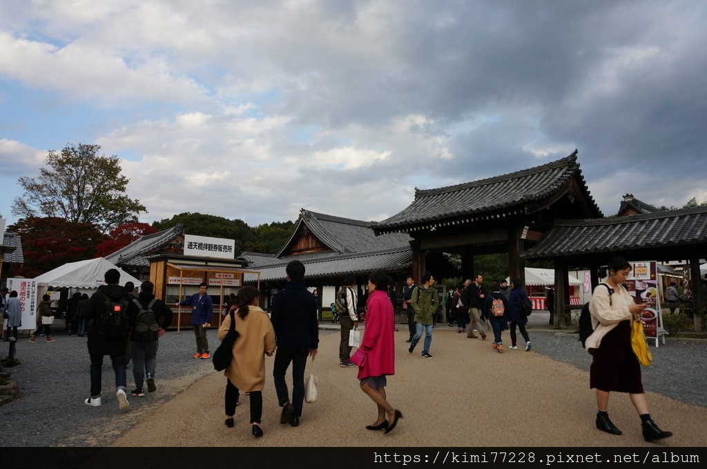 【京都楓葉景點】秋季賞楓必來的紅葉名所「東福寺」