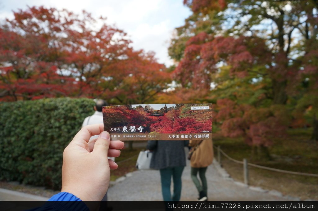 【京都楓葉景點】秋季賞楓必來的紅葉名所「東福寺」