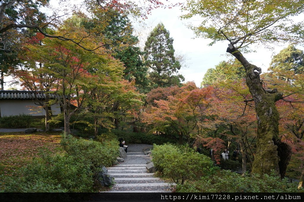 京都 - 東福寺