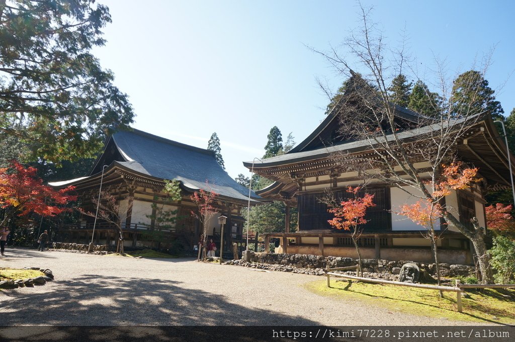 京都 - 高雄神護寺