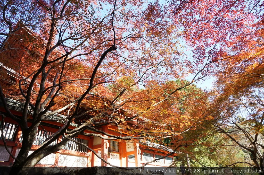 京都 - 高雄神護寺