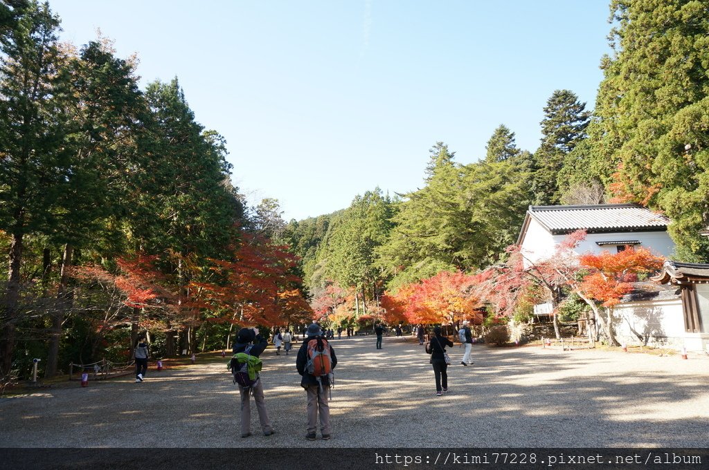 京都 - 高雄神護寺