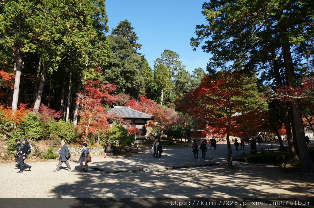 京都 - 高雄神護寺