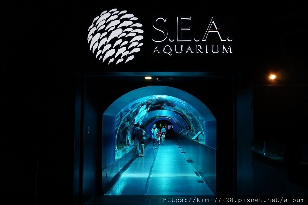 聖淘沙-S.E.A. Aquarium