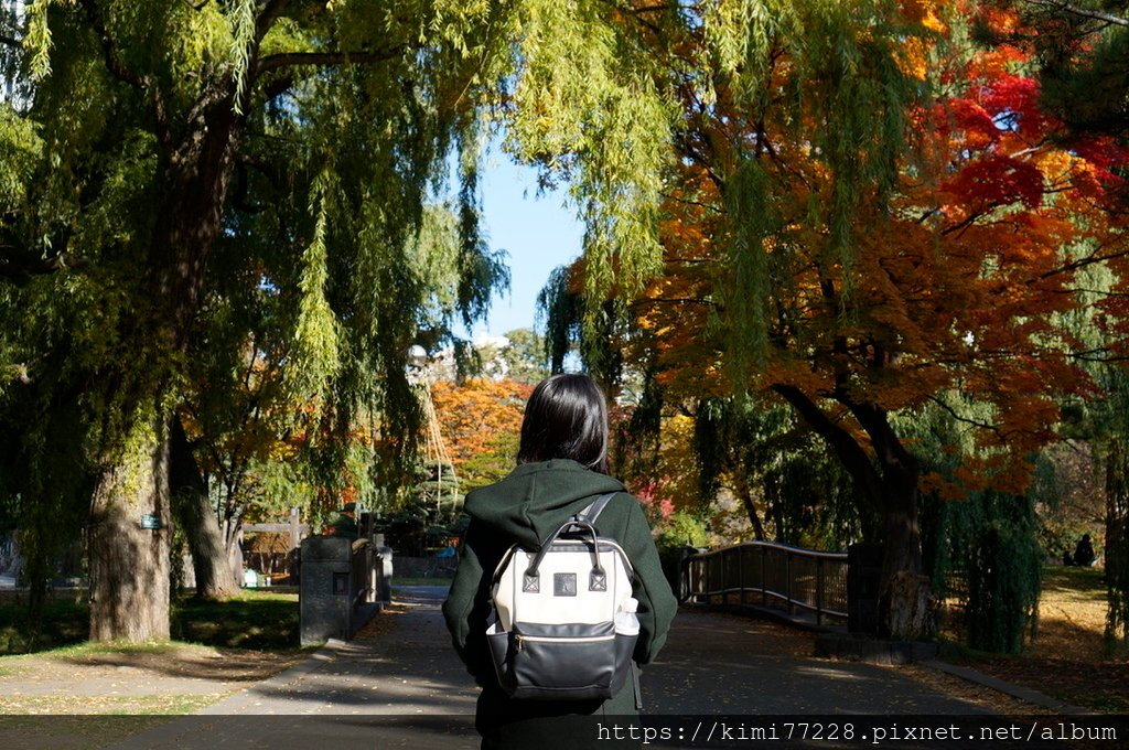 【札幌紅葉】美得超乎預期的「中島公園」