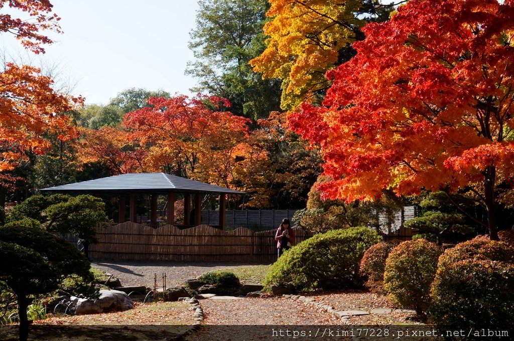 札幌-中島公園