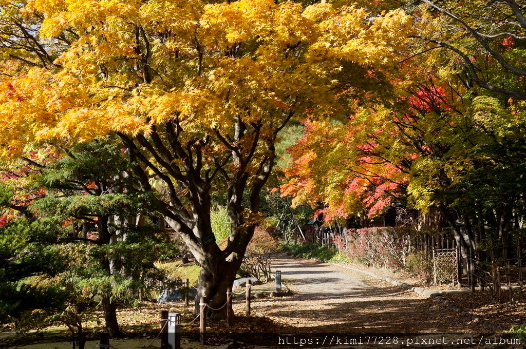 札幌-中島公園