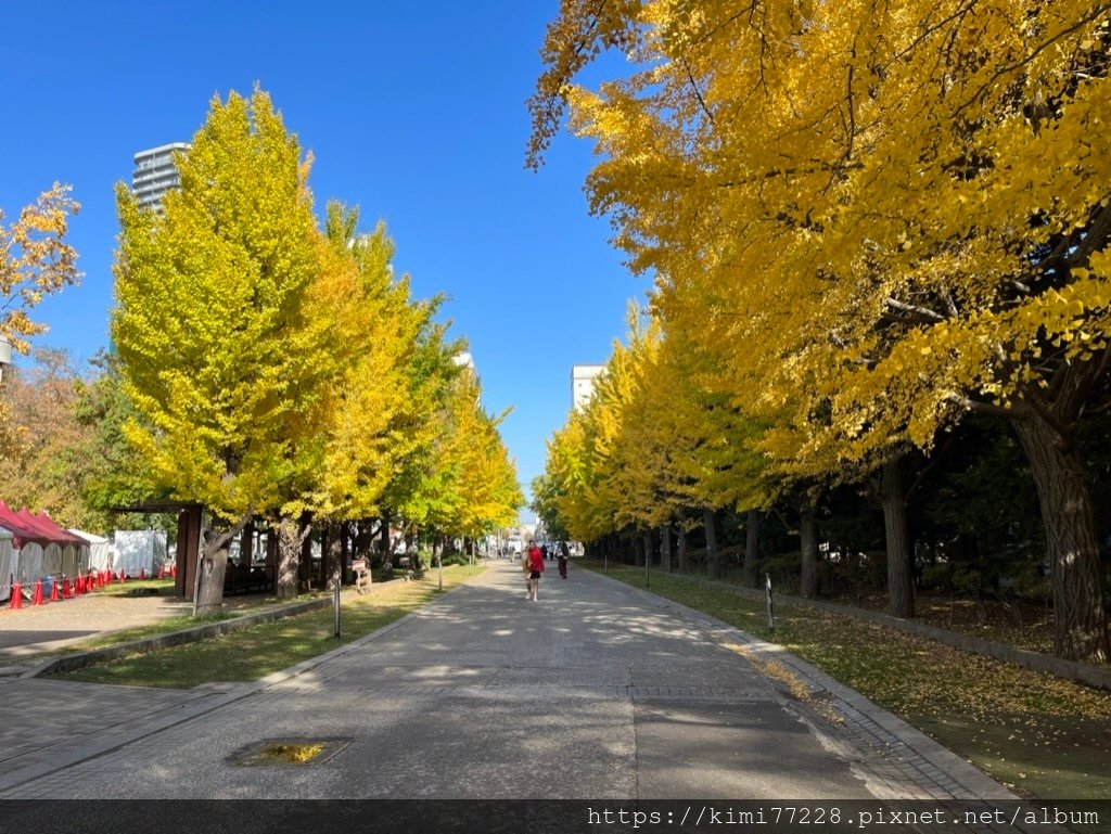 札幌-中島公園