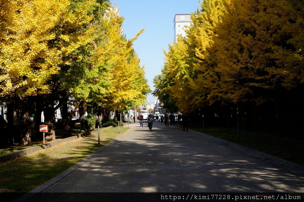 札幌-中島公園