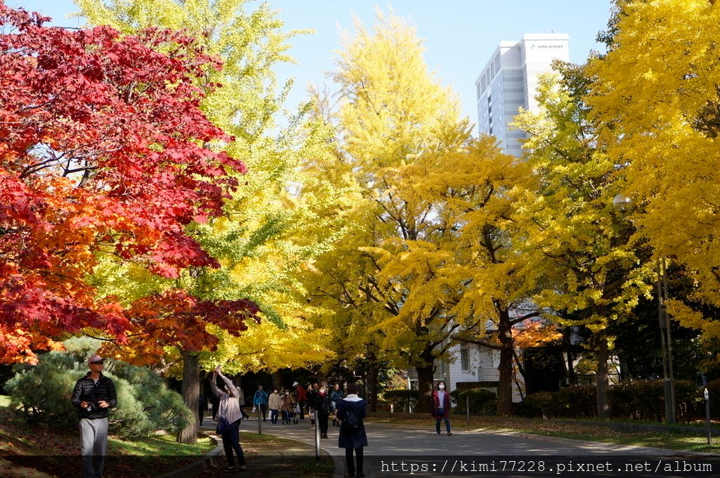 札幌-中島公園