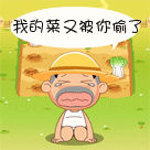 13.gif