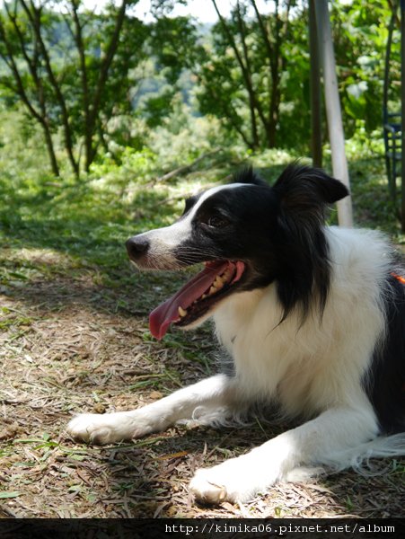 P1020159.JPG