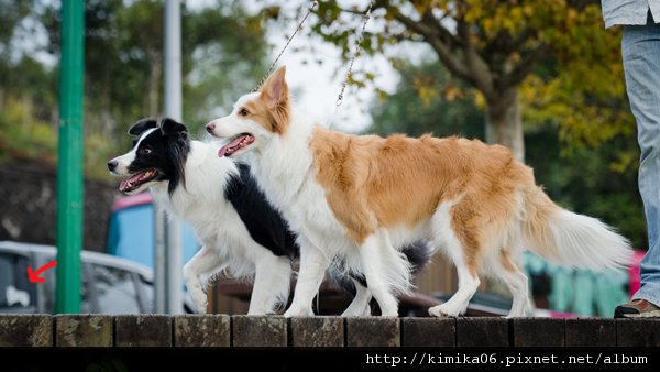 DSC_6597.jpg