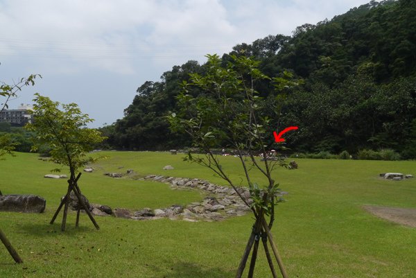 P1340366.JPG